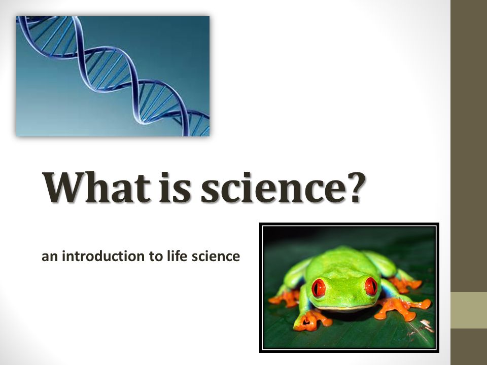What is science an introduction to life science