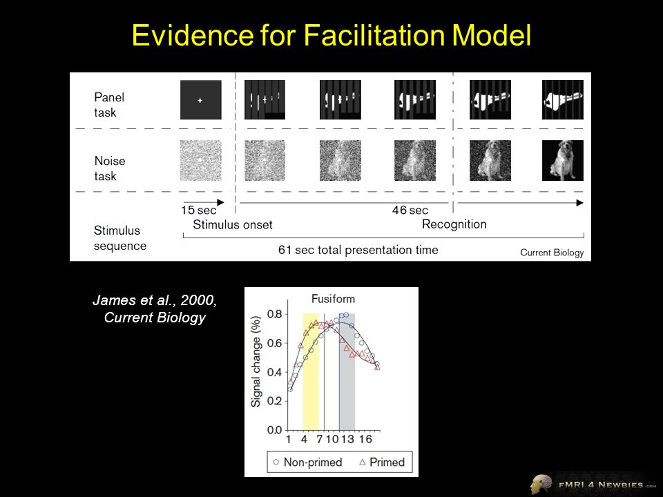 Evidence for Facilitation Model James et al., 2000, Current Biology