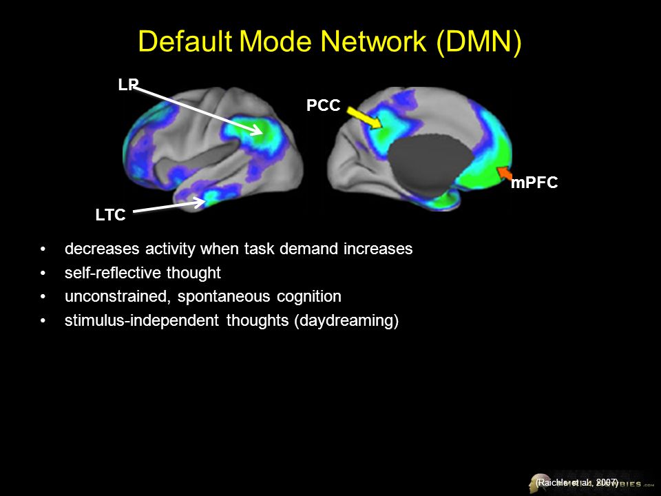 Default Mode Network (DMN) (Raichle et al., 2007) LP LTC PCC mPFC decreases activity when task demand increases self-reflective thought unconstrained, spontaneous cognition stimulus-independent thoughts (daydreaming)