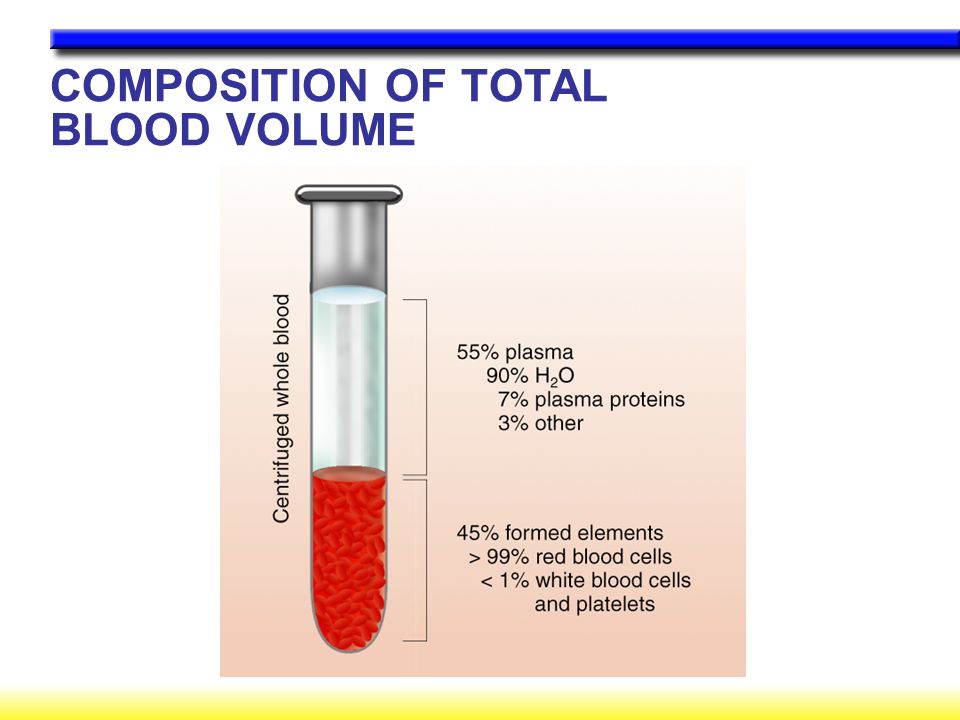 COMPOSITION OF TOTAL BLOOD VOLUME