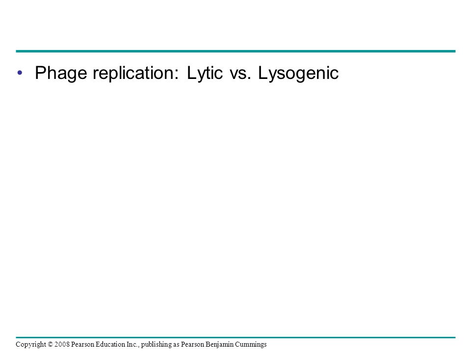 Copyright © 2008 Pearson Education Inc., publishing as Pearson Benjamin Cummings Phage replication: Lytic vs.