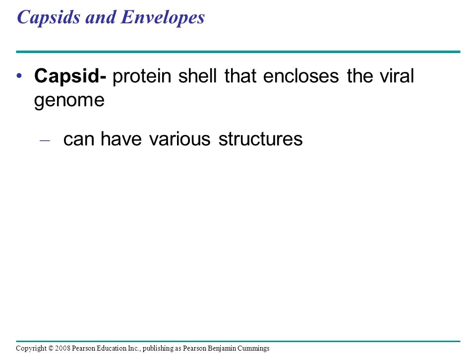 Copyright © 2008 Pearson Education Inc., publishing as Pearson Benjamin Cummings Capsids and Envelopes Capsid- protein shell that encloses the viral genome – can have various structures
