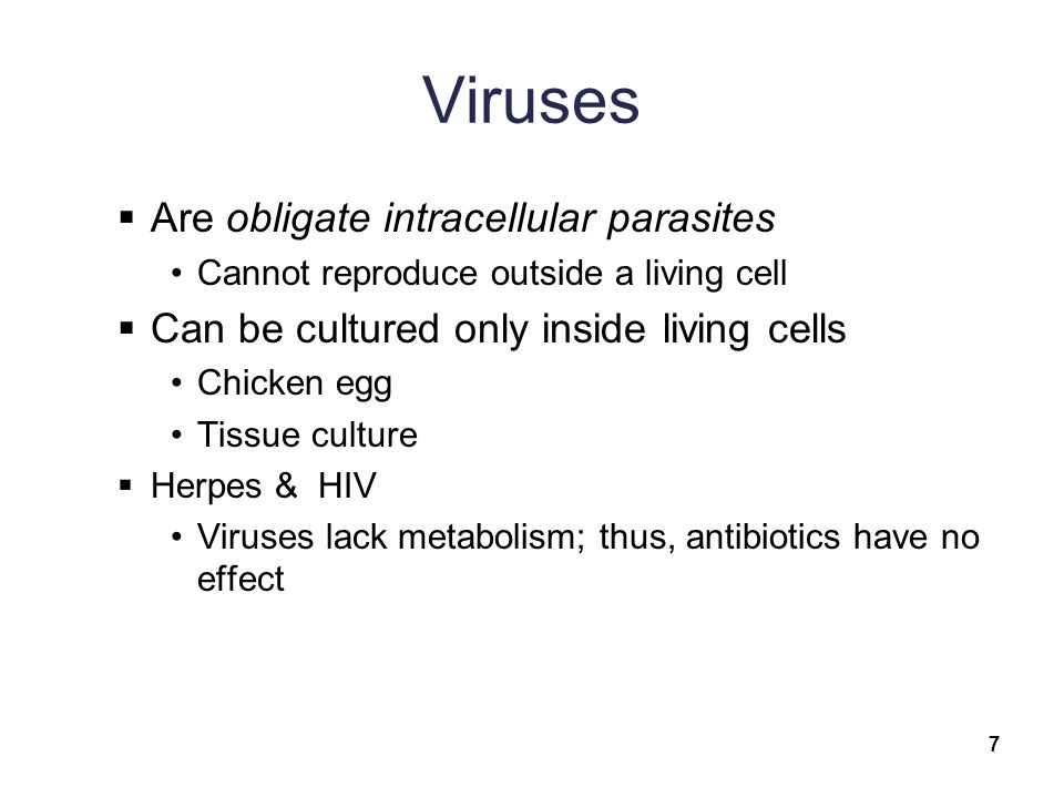 Viruses  Are obligate intracellular parasites Cannot reproduce outside a living cell  Can be cultured only inside living cells Chicken egg Tissue culture  Herpes & HIV Viruses lack metabolism; thus, antibiotics have no effect 7