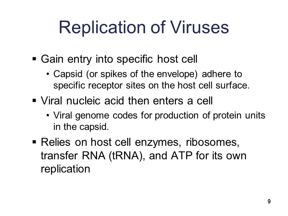 Replication of Viruses  Gain entry into specific host cell Capsid (or spikes of the envelope) adhere to specific receptor sites on the host cell surface.