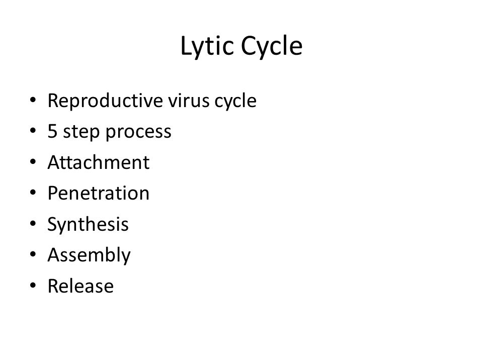 Lytic Cycle Reproductive virus cycle 5 step process Attachment Penetration Synthesis Assembly Release