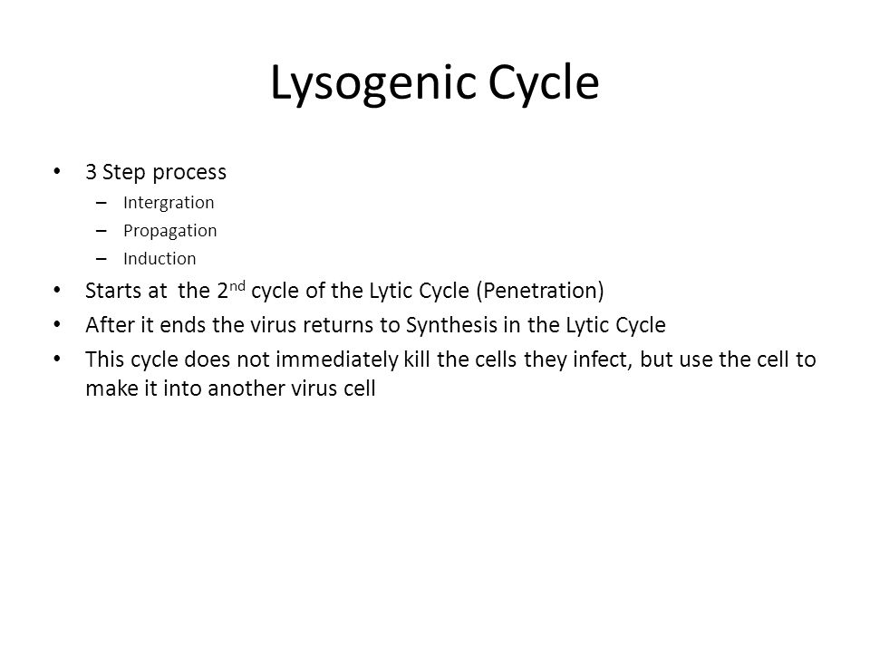 Lysogenic Cycle 3 Step process – Intergration – Propagation – Induction Starts at the 2 nd cycle of the Lytic Cycle (Penetration) After it ends the virus returns to Synthesis in the Lytic Cycle This cycle does not immediately kill the cells they infect, but use the cell to make it into another virus cell