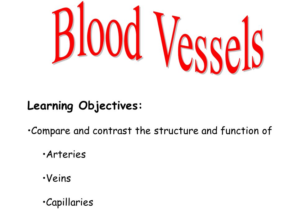 Learning Objectives: Compare and contrast the structure and function of Arteries Veins Capillaries