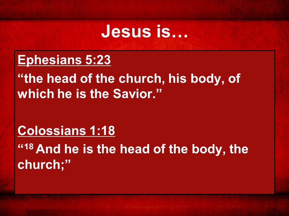 Jesus is… Ephesians 5:23 the head of the church, his body, of which he is the Savior. Colossians 1:18 18 And he is the head of the body, the church;