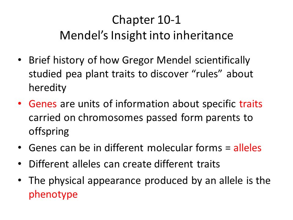 Chapter 10-1 Mendel’s Insight into inheritance Brief history of how Gregor Mendel scientifically studied pea plant traits to discover rules about heredity Genes are units of information about specific traits carried on chromosomes passed form parents to offspring Genes can be in different molecular forms = alleles Different alleles can create different traits The physical appearance produced by an allele is the phenotype