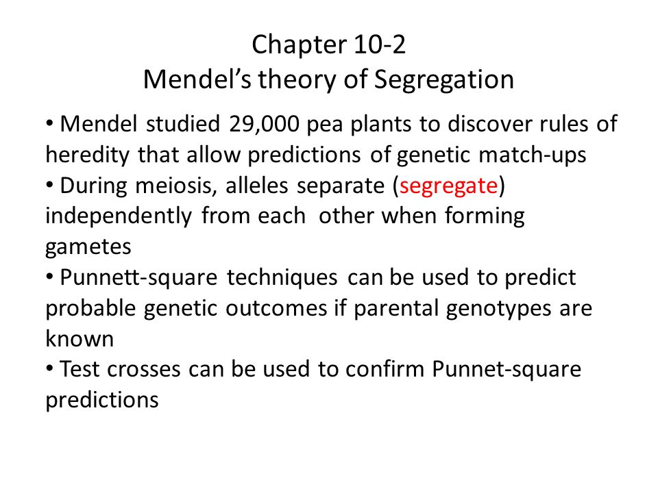 Chapter 10-2 Mendel’s theory of Segregation Mendel studied 29,000 pea plants to discover rules of heredity that allow predictions of genetic match-ups During meiosis, alleles separate (segregate) independently from each other when forming gametes Punnett-square techniques can be used to predict probable genetic outcomes if parental genotypes are known Test crosses can be used to confirm Punnet-square predictions