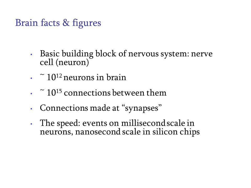 Brain facts & figures Basic building block of nervous system: nerve cell (neuron) ~ neurons in brain ~ connections between them Connections made at synapses The speed: events on millisecond scale in neurons, nanosecond scale in silicon chips