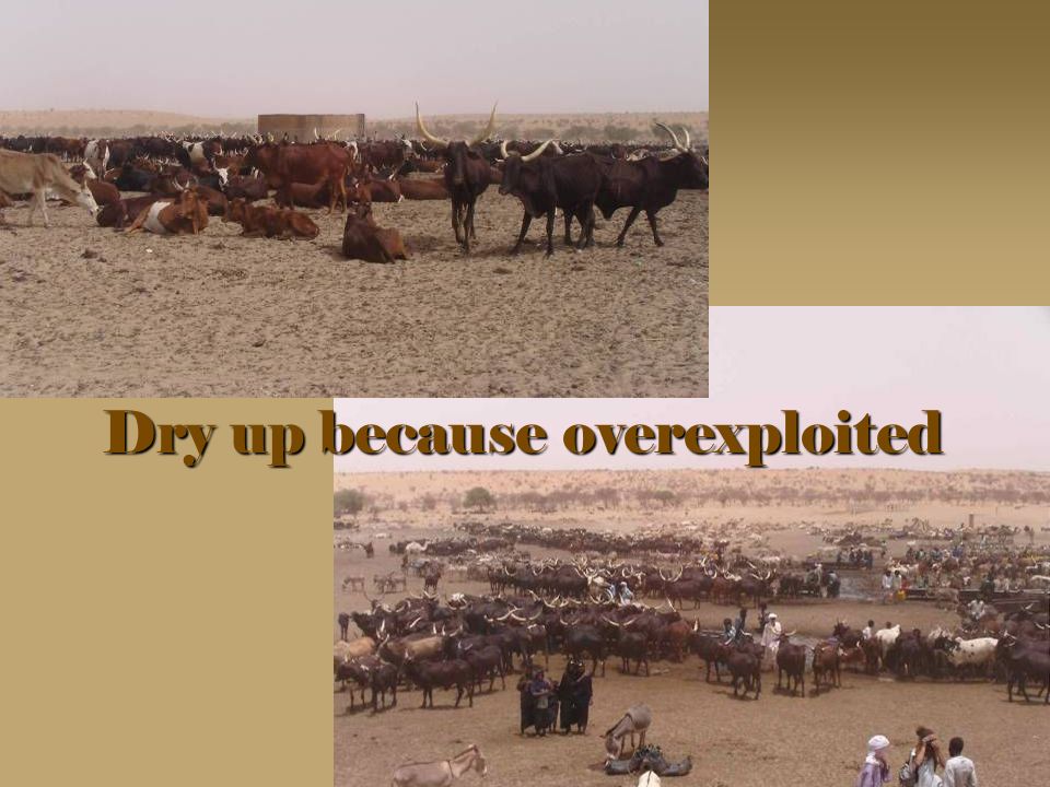Dry up because overexploited