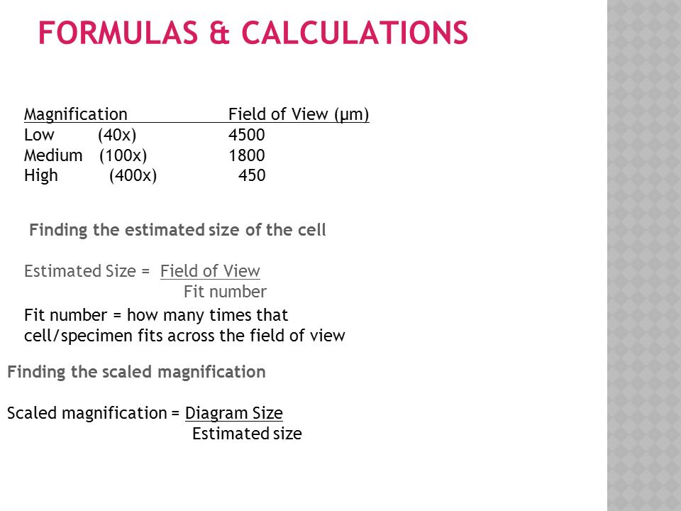 FORMULAS & CALCULATIONS MagnificationField of View (µm) Low (40x)4500 Medium (100x)1800 High (400x) 450 Finding the estimated size of the cell Estimated Size = Field of View Fit number Fit number = how many times that cell/specimen fits across the field of view Finding the scaled magnification Scaled magnification = Diagram Size Estimated size