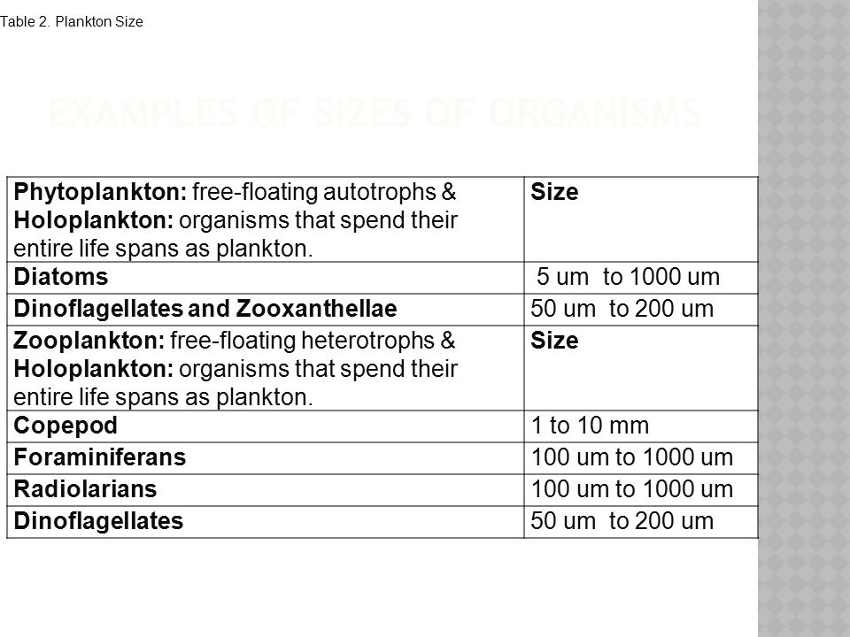 EXAMPLES OF SIZES OF ORGANISMS Table 2.