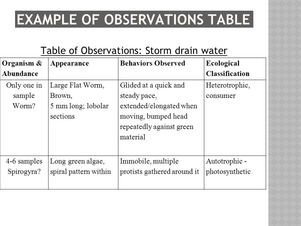 EXAMPLE OF OBSERVATIONS TABLE Organism & Abundance AppearanceBehaviors Observed Ecological Classification Only one in sample Worm.