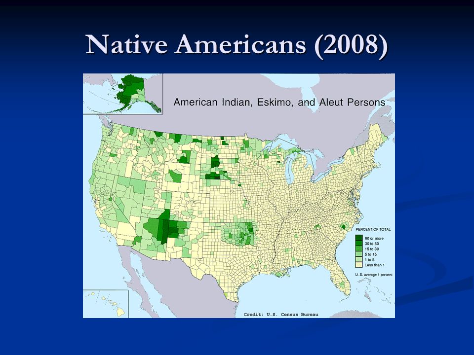 Native Americans (2008)