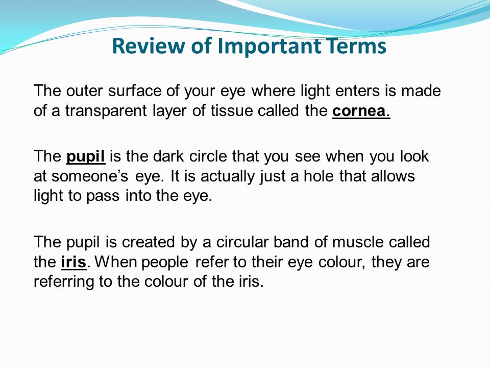 Review of Important Terms The outer surface of your eye where light enters is made of a transparent layer of tissue called the cornea.