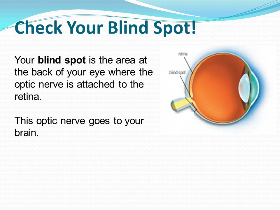 Check Your Blind Spot.