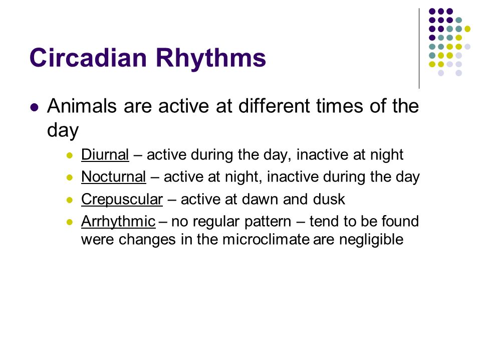 Biological Rhythms Animals. Definitions Biological clock is an internal  timing system which continues without external time clues, and controls the  time. - ppt download