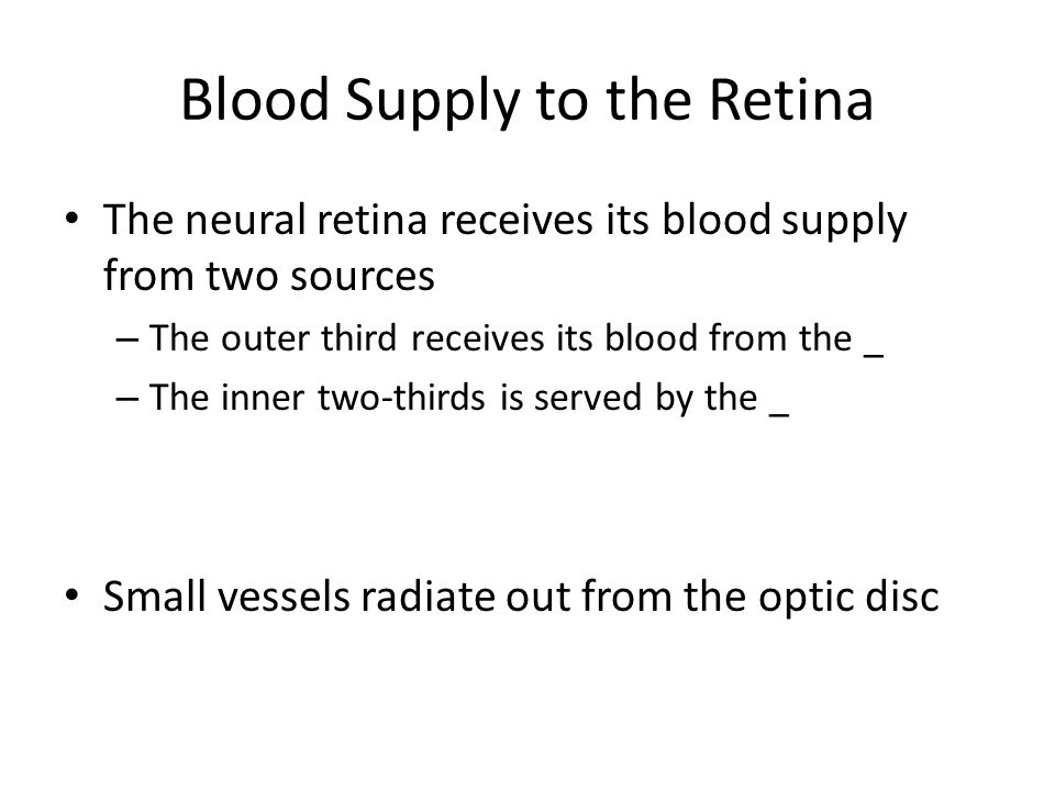 Blood Supply to the Retina The neural retina receives its blood supply from two sources – The outer third receives its blood from the _ – The inner two-thirds is served by the _ Small vessels radiate out from the optic disc