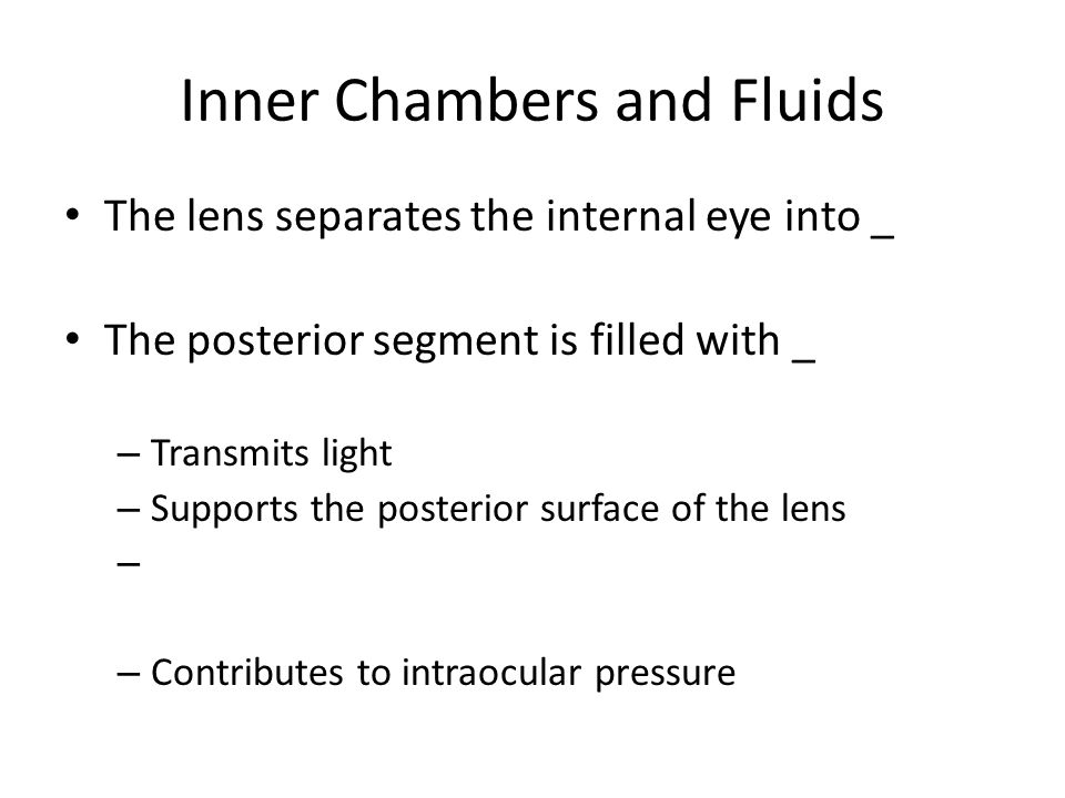 Inner Chambers and Fluids The lens separates the internal eye into _ The posterior segment is filled with _ – Transmits light – Supports the posterior surface of the lens – – Contributes to intraocular pressure