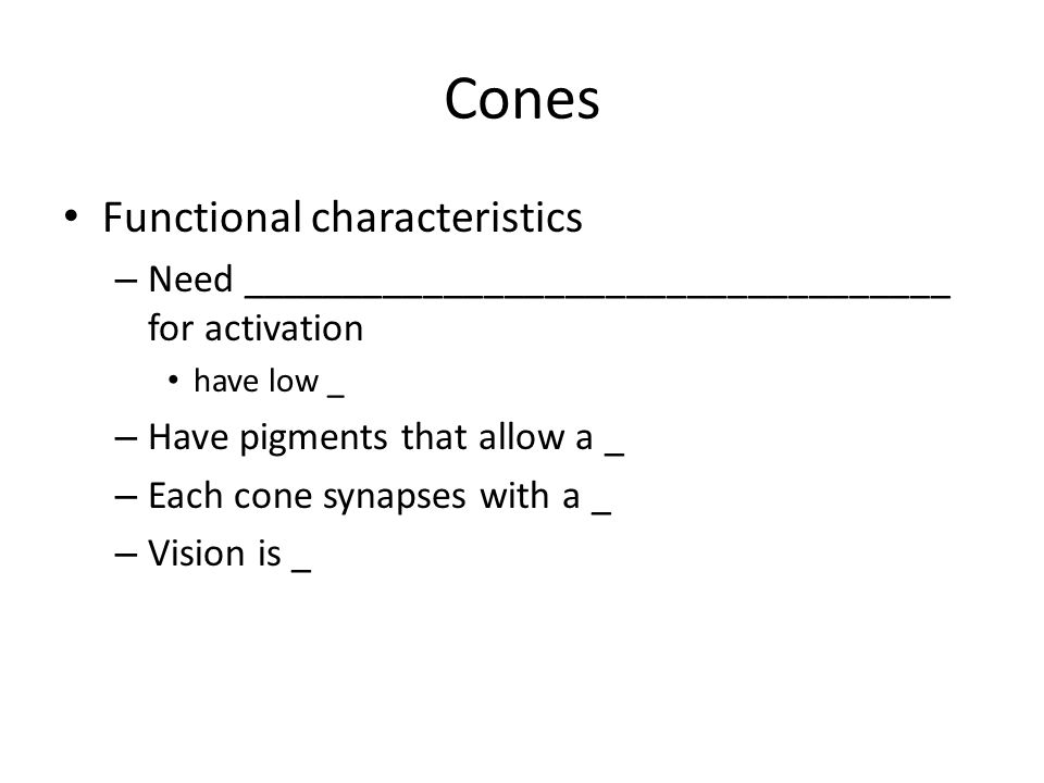 Cones Functional characteristics – Need ___________________________________ for activation have low _ – Have pigments that allow a _ – Each cone synapses with a _ – Vision is _