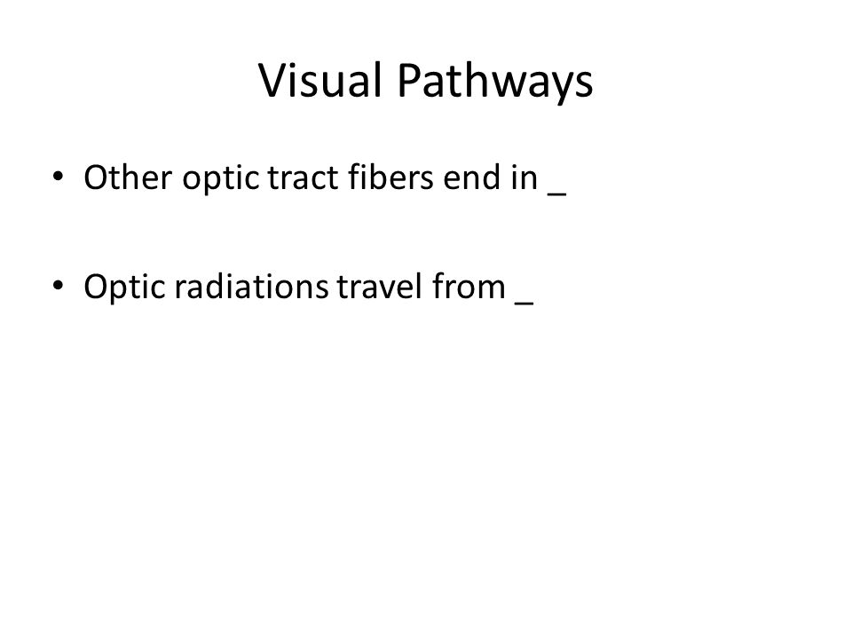 Visual Pathways Other optic tract fibers end in _ Optic radiations travel from _