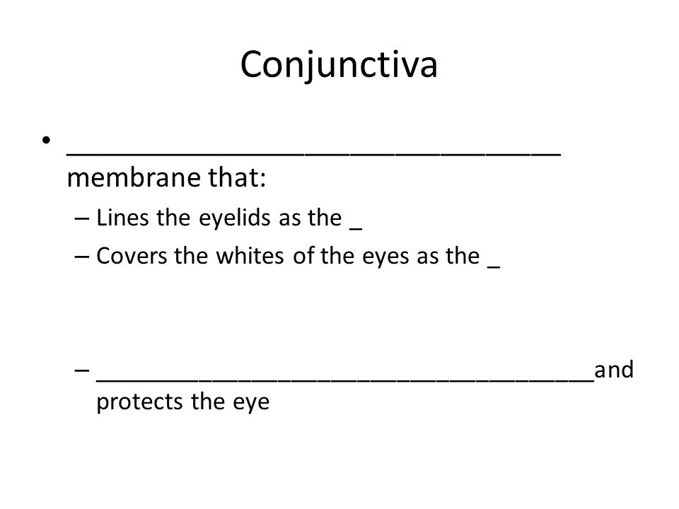 Conjunctiva _________________________________ membrane that: – Lines the eyelids as the _ – Covers the whites of the eyes as the _ – ______________________________________and protects the eye
