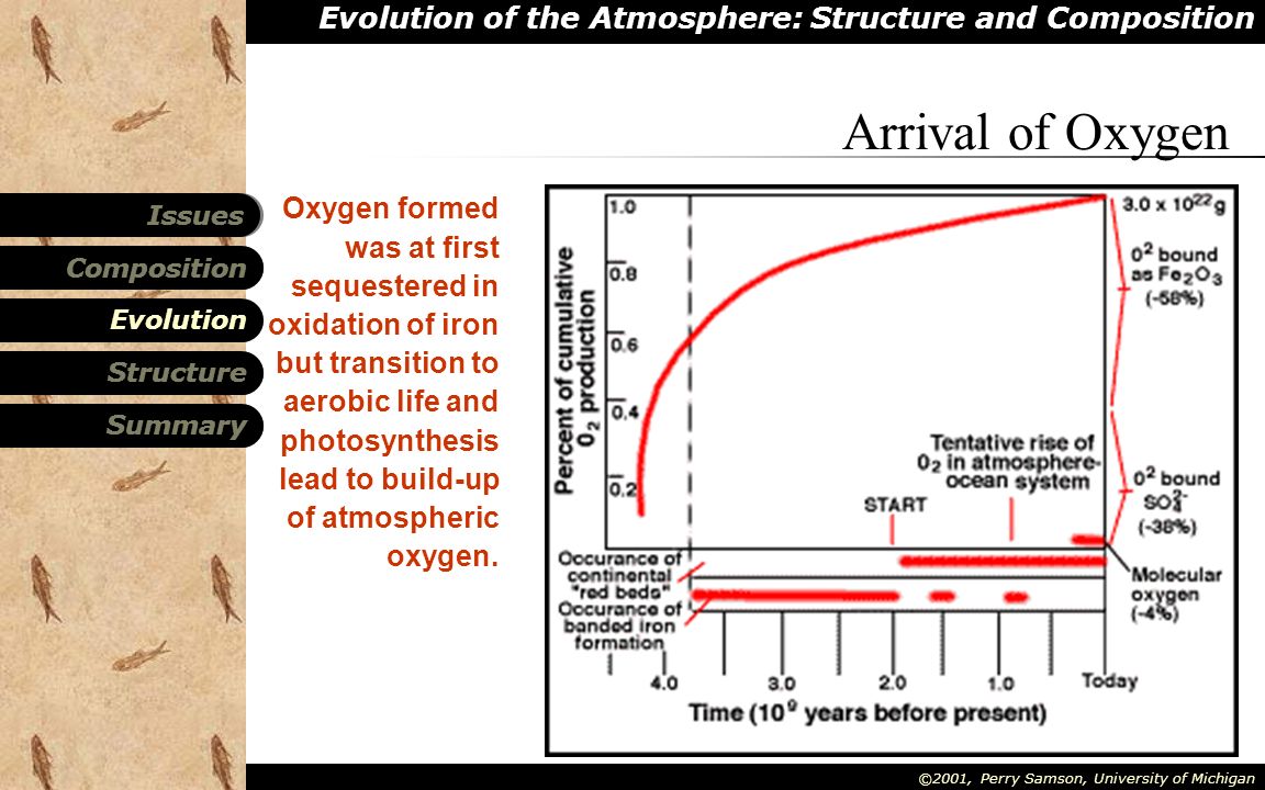 Evolution of the Atmosphere: Structure and Composition Composition Structure Summary Evolution Issues ©2001, Perry Samson, University of Michigan Oxygen formed was at first sequestered in oxidation of iron but transition to aerobic life and photosynthesis lead to build-up of atmospheric oxygen.