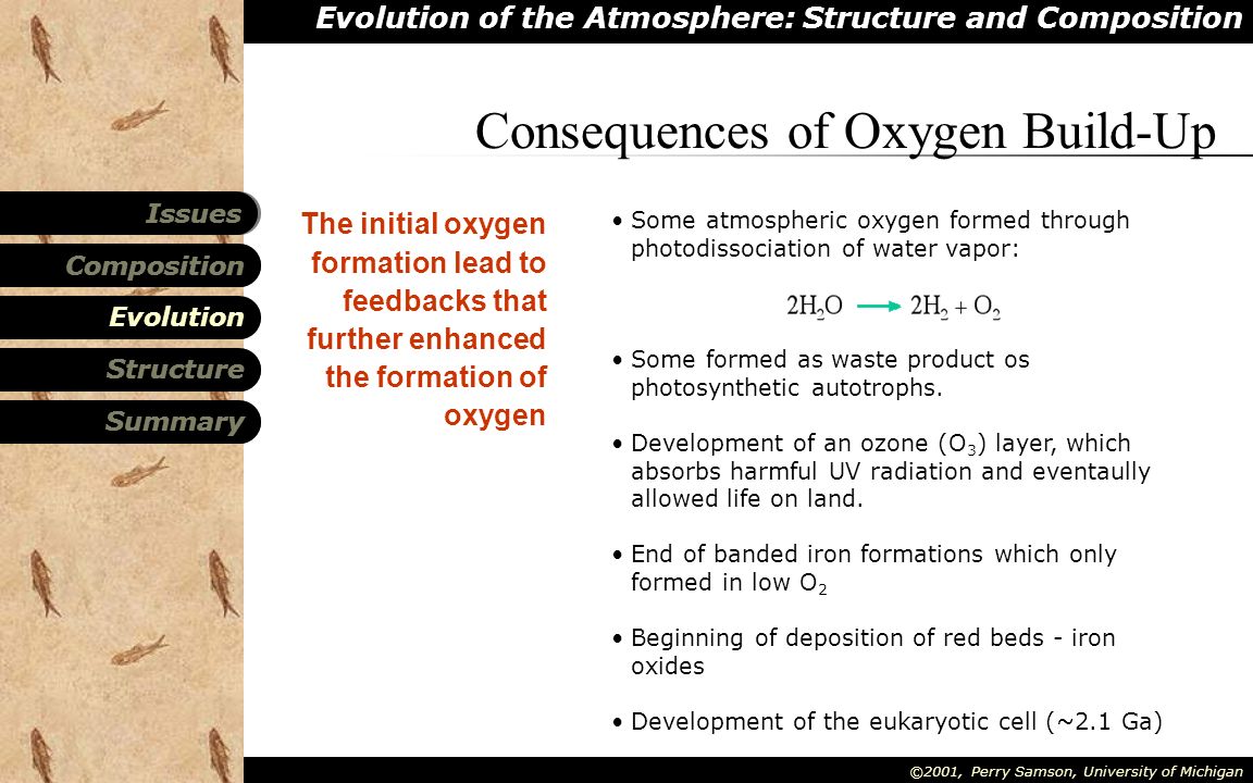 Evolution of the Atmosphere: Structure and Composition Composition Structure Summary Evolution Issues ©2001, Perry Samson, University of Michigan The initial oxygen formation lead to feedbacks that further enhanced the formation of oxygen Consequences of Oxygen Build-Up Some atmospheric oxygen formed through photodissociation of water vapor: Some formed as waste product os photosynthetic autotrophs.
