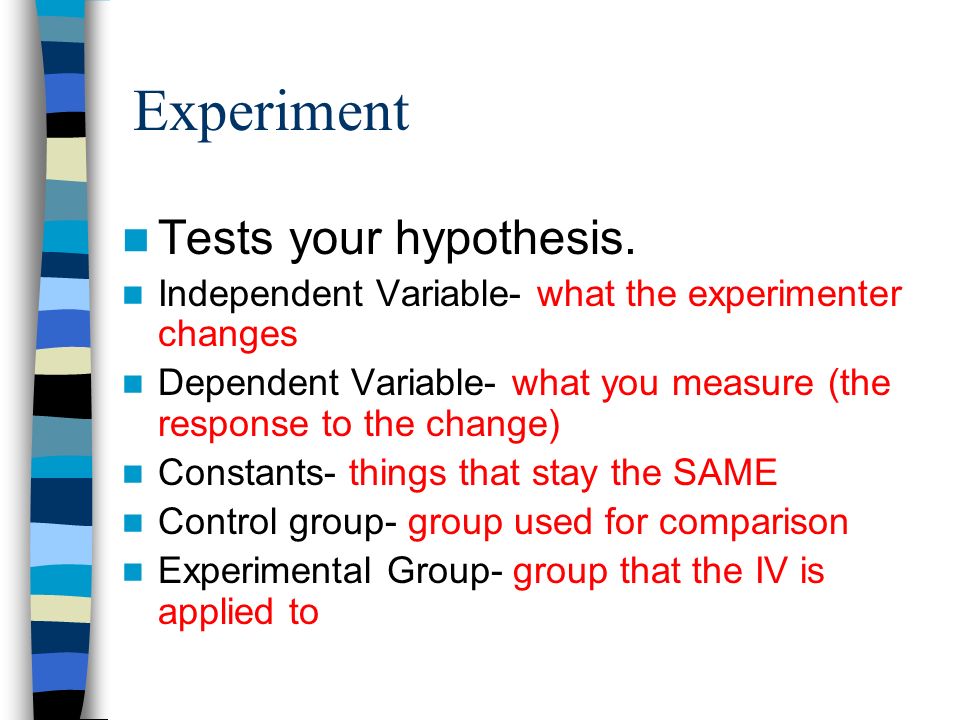 Experiment Tests your hypothesis.