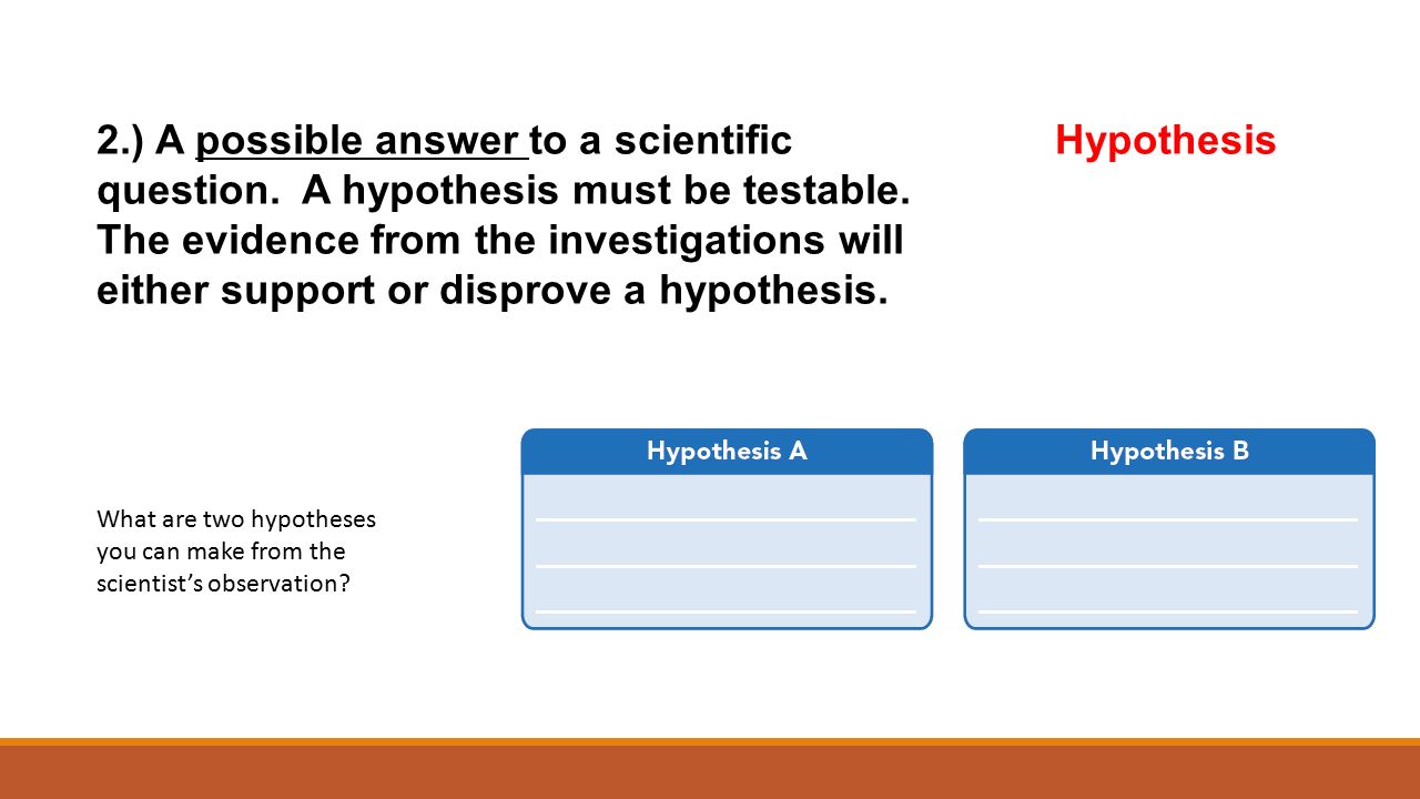 2.) A possible answer to a scientific Hypothesis question.