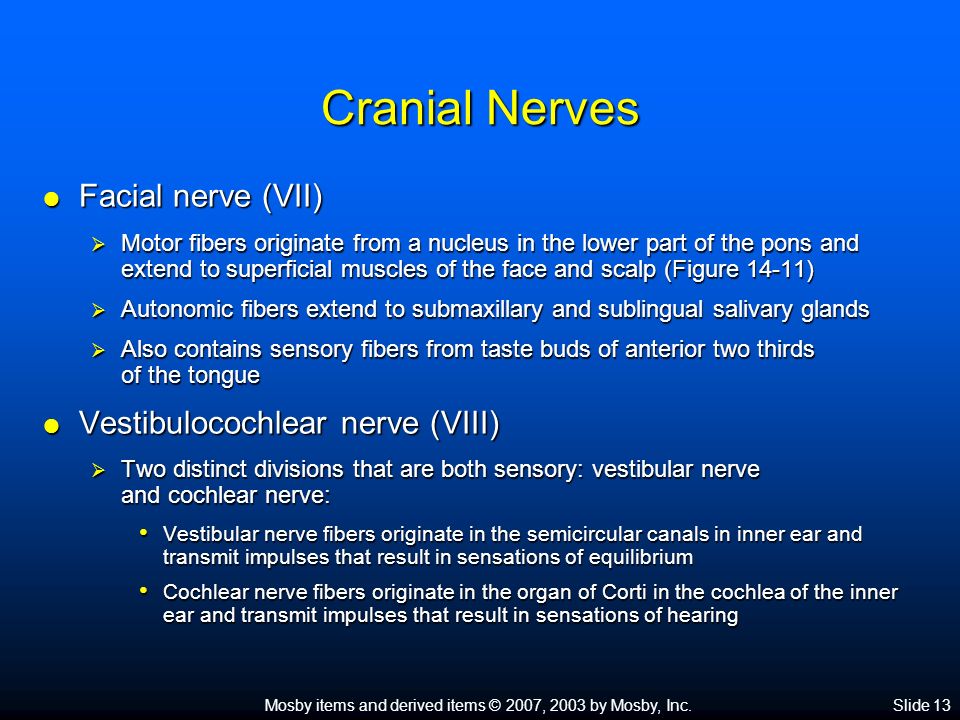 Mosby items and derived items © 2007, 2003 by Mosby, Inc.Slide 1 ...