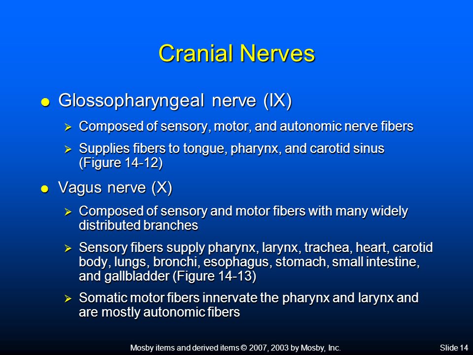 Mosby items and derived items © 2007, 2003 by Mosby, Inc.Slide 1 ...