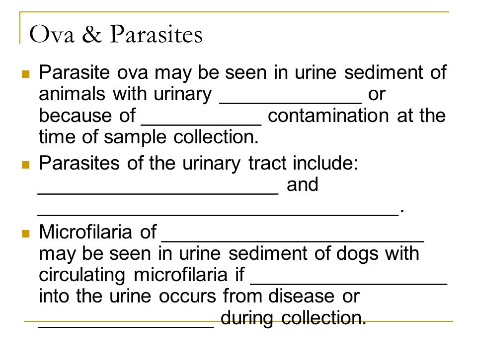 Ova & Parasites Parasite ova may be seen in urine sediment of animals with urinary _____________ or because of ___________ contamination at the time of sample collection.