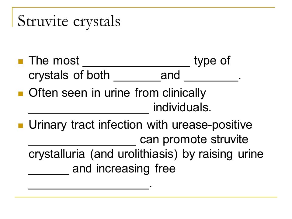 Struvite crystals The most ________________ type of crystals of both _______and ________.