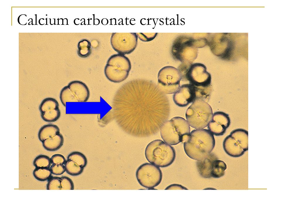 Calcium carbonate crystals