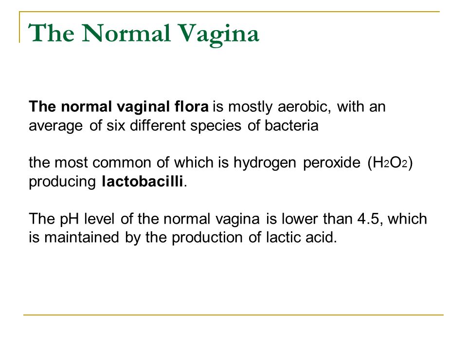 normal vagina flora Big porn tit xx