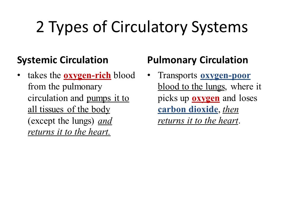 2 Types of Circulatory Systems Systemic Circulation takes the oxygen-rich blood from the pulmonary circulation and pumps it to all tissues of the body (except the lungs) and returns it to the heart.
