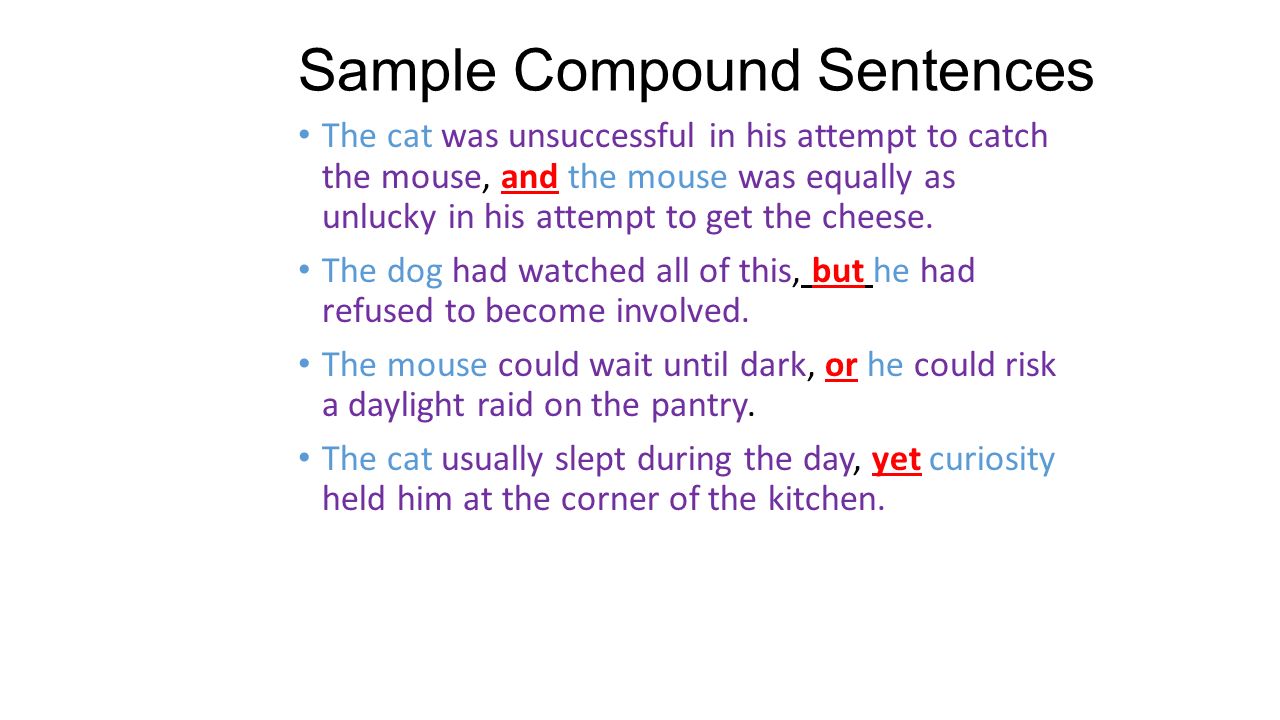 Sample Compound Sentences The cat was unsuccessful in his attempt to catch the mouse, and the mouse was equally as unlucky in his attempt to get the cheese.