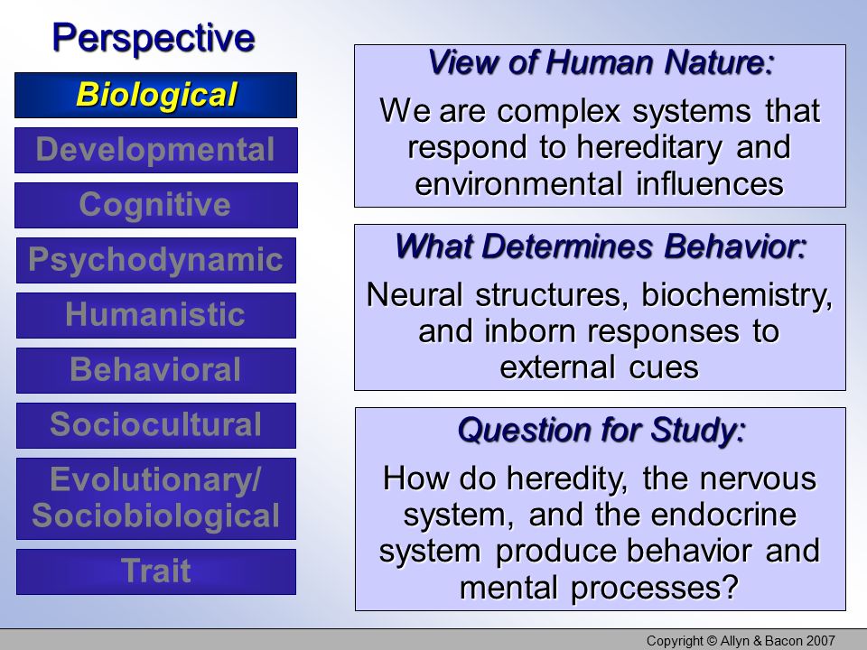 Copyright © Allyn & Bacon 2007 View of Human Nature: We are complex systems that respond to hereditary and environmental influences What Determines Behavior: Neural structures, biochemistry, and inborn responses to external cues Question for Study: How do heredity, the nervous system, and the endocrine system produce behavior and mental processes.