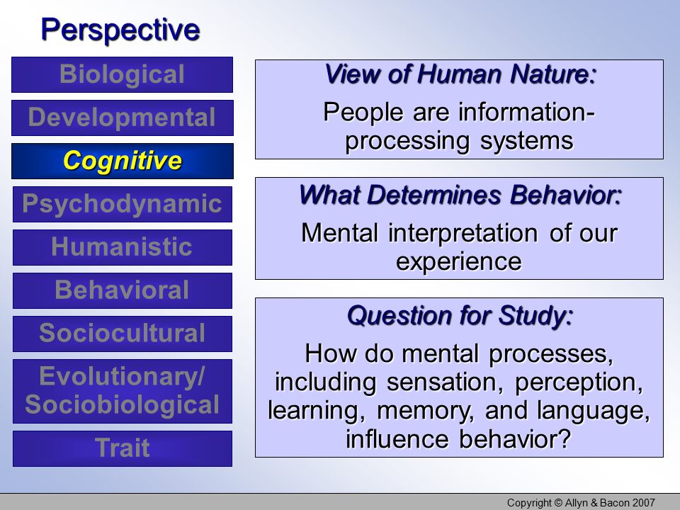 Copyright © Allyn & Bacon 2007 View of Human Nature: People are information- processing systems What Determines Behavior: Mental interpretation of our experience Question for Study: How do mental processes, including sensation, perception, learning, memory, and language, influence behavior.