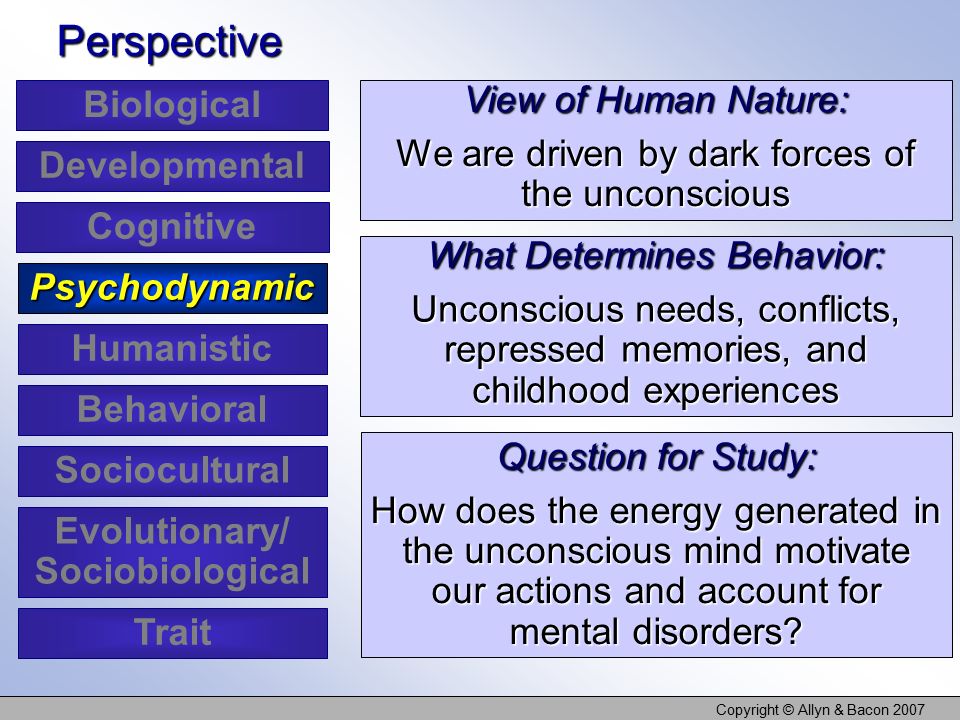 Copyright © Allyn & Bacon 2007 View of Human Nature: We are driven by dark forces of the unconscious Perspective What Determines Behavior: Unconscious needs, conflicts, repressed memories, and childhood experiences Question for Study: How does the energy generated in the unconscious mind motivate our actions and account for mental disorders.
