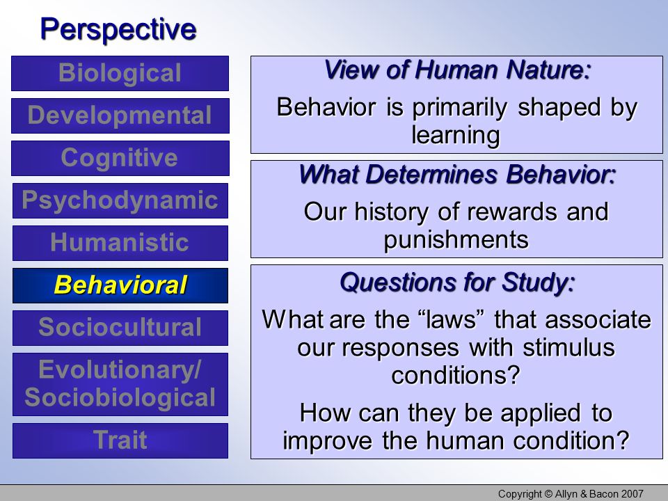 Copyright © Allyn & Bacon 2007 View of Human Nature: Behavior is primarily shaped by learning Perspective What Determines Behavior: Our history of rewards and punishments Questions for Study: What are the laws that associate our responses with stimulus conditions.
