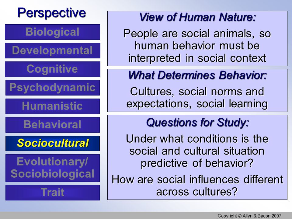 Copyright © Allyn & Bacon 2007 View of Human Nature: People are social animals, so human behavior must be interpreted in social context Perspective What Determines Behavior: Cultures, social norms and expectations, social learning Questions for Study: Under what conditions is the social and cultural situation predictive of behavior.