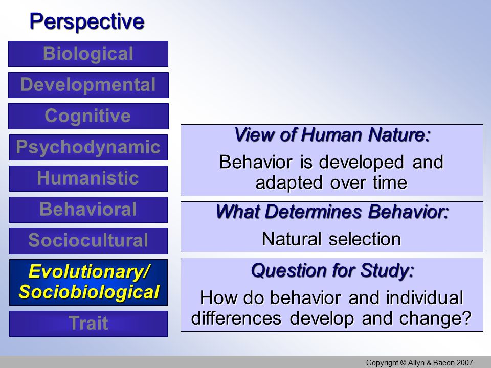 Copyright © Allyn & Bacon 2007 View of Human Nature: Behavior is developed and adapted over time Perspective What Determines Behavior: Natural selection Question for Study: How do behavior and individual differences develop and change.