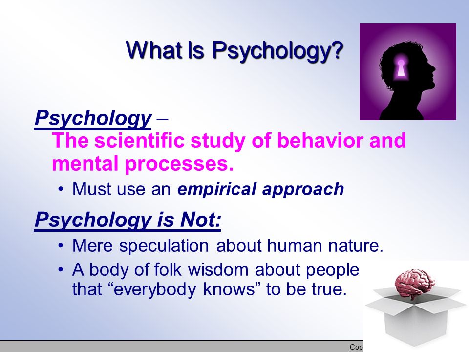 Copyright © Allyn & Bacon 2007 What Is Psychology.