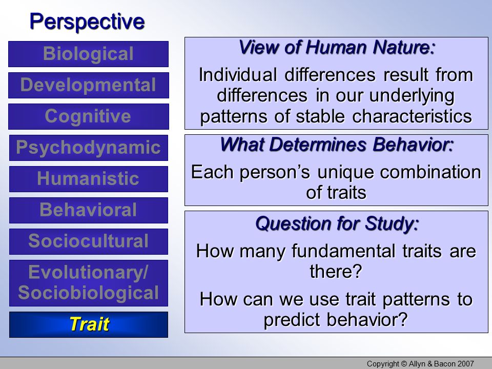 Copyright © Allyn & Bacon 2007 View of Human Nature: Individual differences result from differences in our underlying patterns of stable characteristics Perspective What Determines Behavior: Each person’s unique combination of traits Question for Study: How many fundamental traits are there.