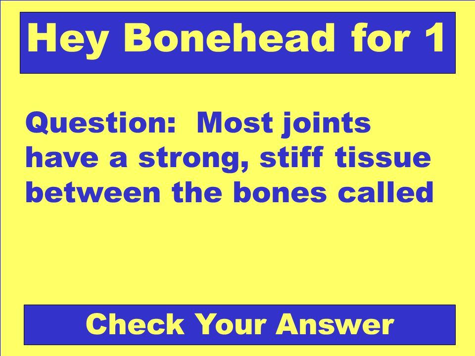 Question: Most joints have a strong, stiff tissue between the bones called Check Your Answer Hey Bonehead for 1