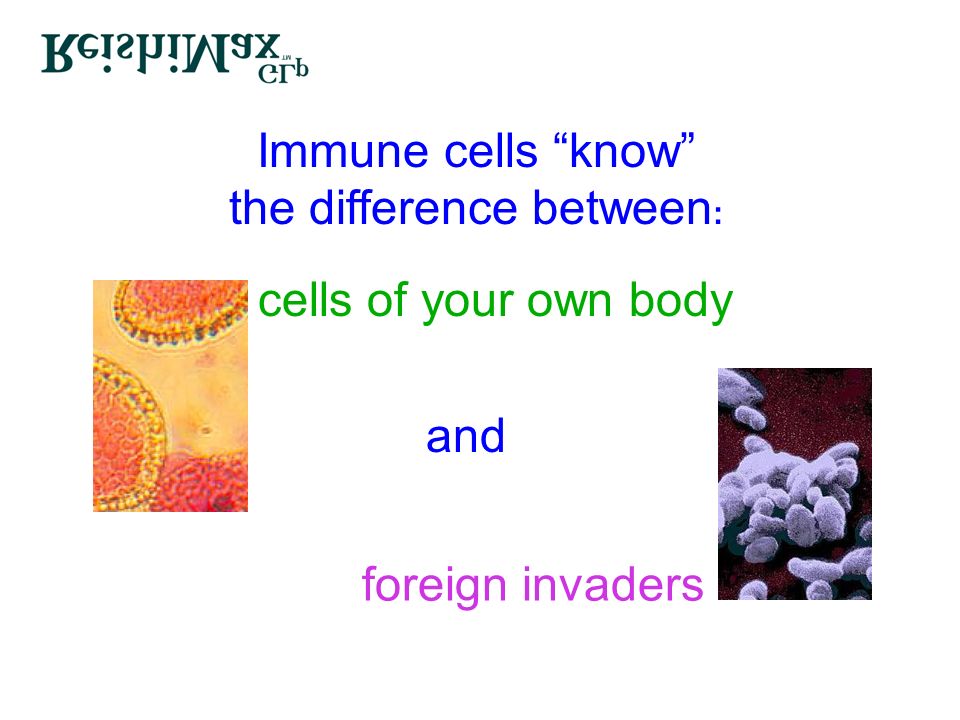 Immune cells know the difference between : cells of your own body foreign invaders and